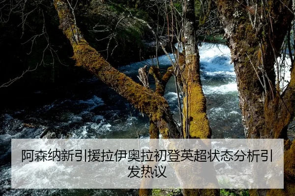 阿森纳新引援拉伊奥拉初登英超状态分析引发热议