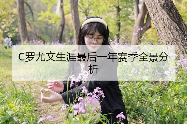 C罗尤文生涯最后一年赛季全景分析
